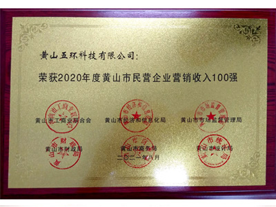 民營企業(yè)營銷收入100強(qiáng)