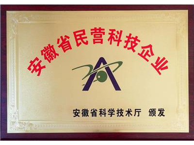 民營科技企業(yè)